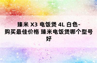 臻米 X3 电饭煲 4L 白色-购买最佳价格 臻米电饭煲哪个型号好